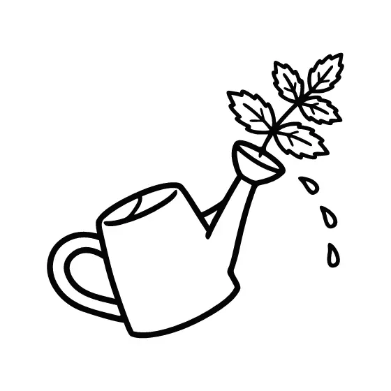 Mint Sprig Watering Can With Droplets