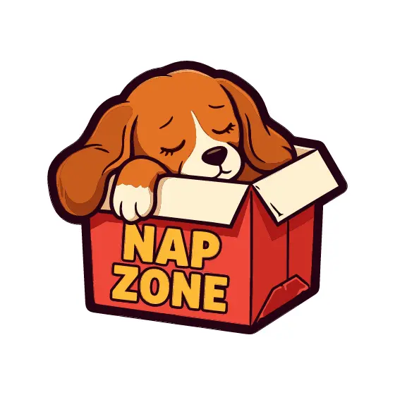 Beagle Napping in Box