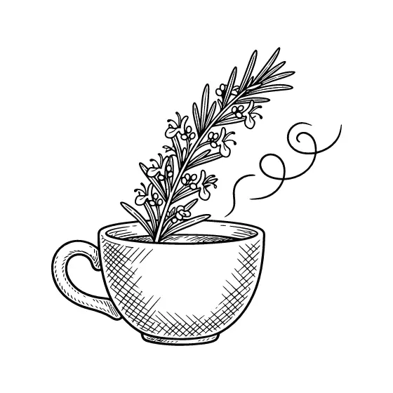 Teacup With Rosemary And Steam