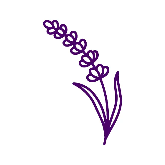 Violet Lavender Sprig With Buds