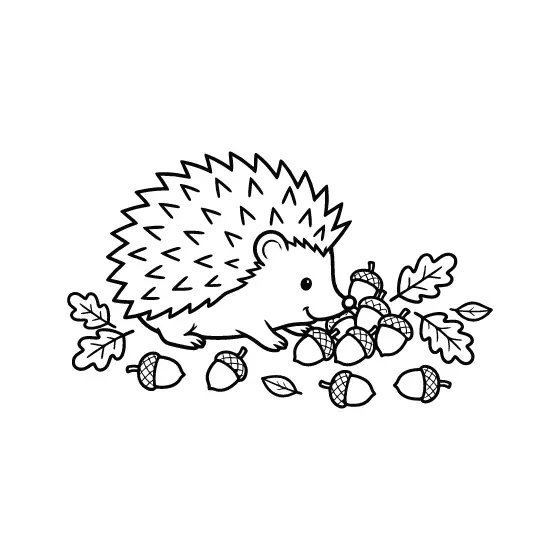 Hedgehog Among Acorns and Oak Leaves