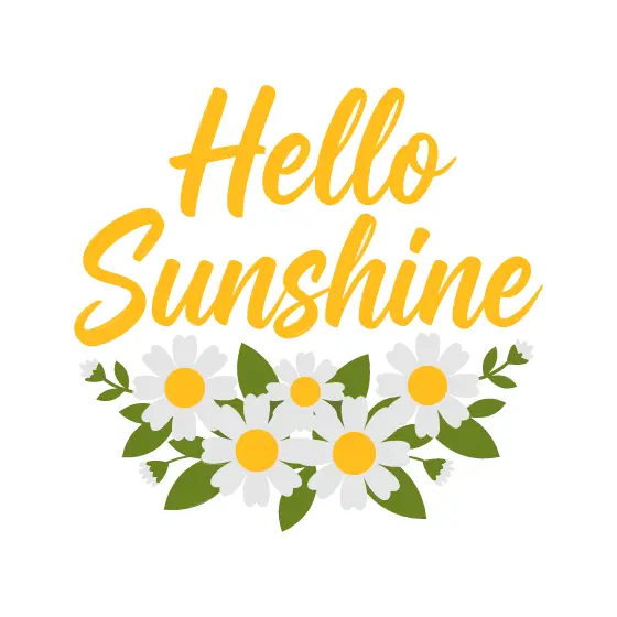 Hello Sunshine Brush Script with Daisies