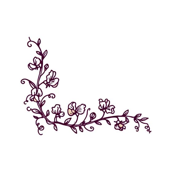 Plum Sweet Pea Corner Vine