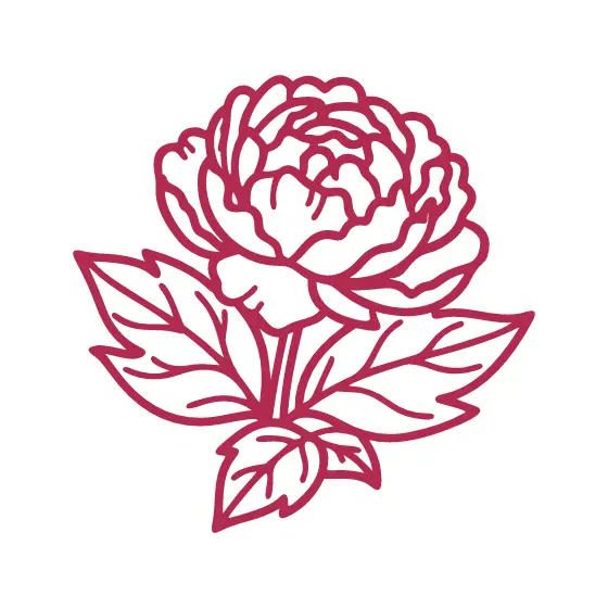 Rose Pink Peony Line Drawing