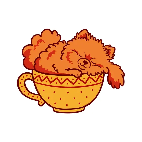 Pomeranian Napping In Polka Dot Teacup