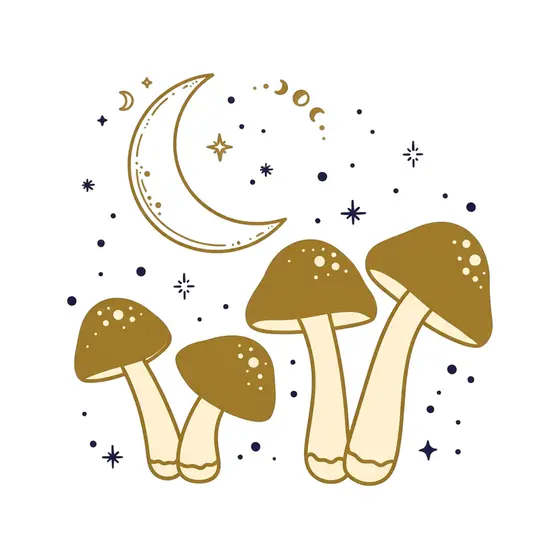 Four Gold Mushrooms With Moon Phases