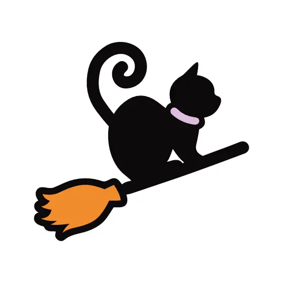 Black Cat Riding Broomstick