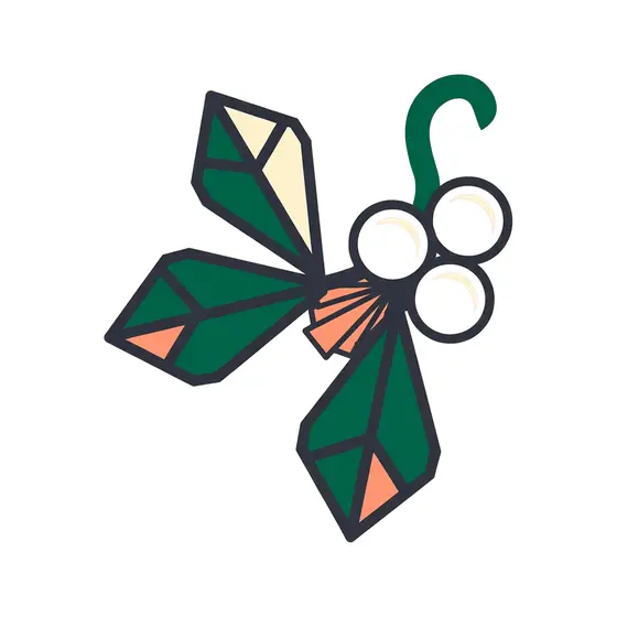 Geometric Mistletoe Sprig With Coral Accents