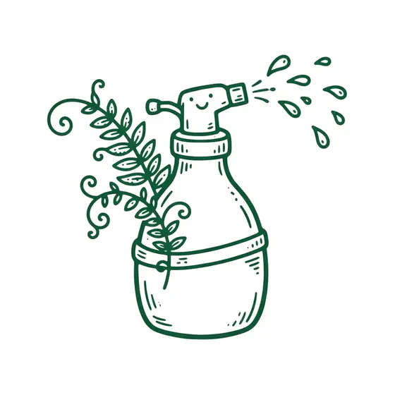 Smiling Plant Mister with Fern