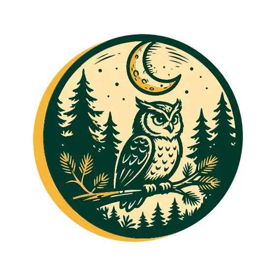 Owl Under Crescent Moon In Forest