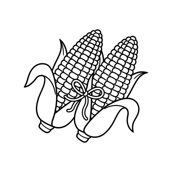 Two Corn Cobs Tied With Twine