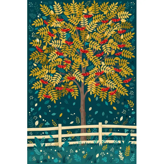 Rowan Tree With Red Berries and Fence