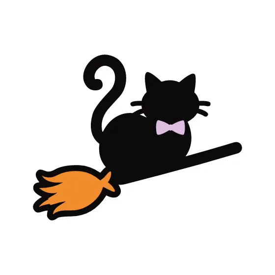 Black Cat Sitting On Broom