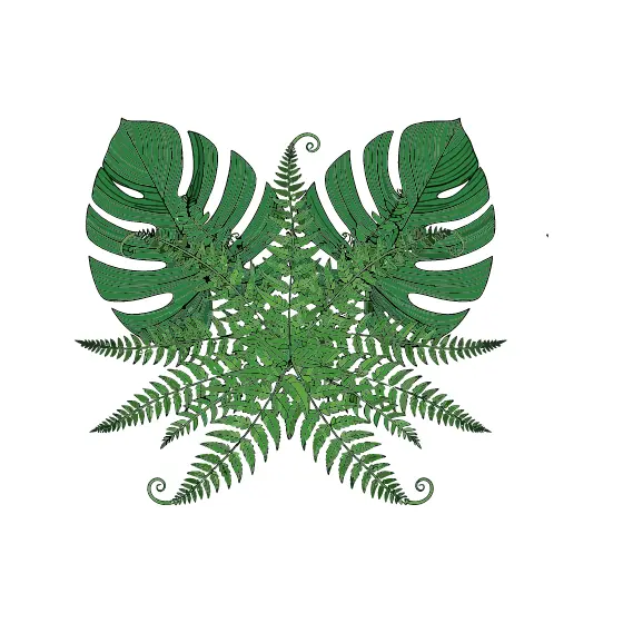 Monstera and Fern Leaves Symmetrical Arrangement