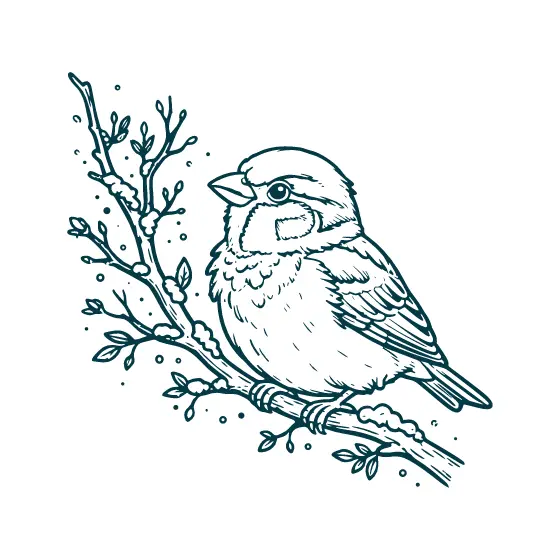 Alert Sparrow Facing Left on Branch