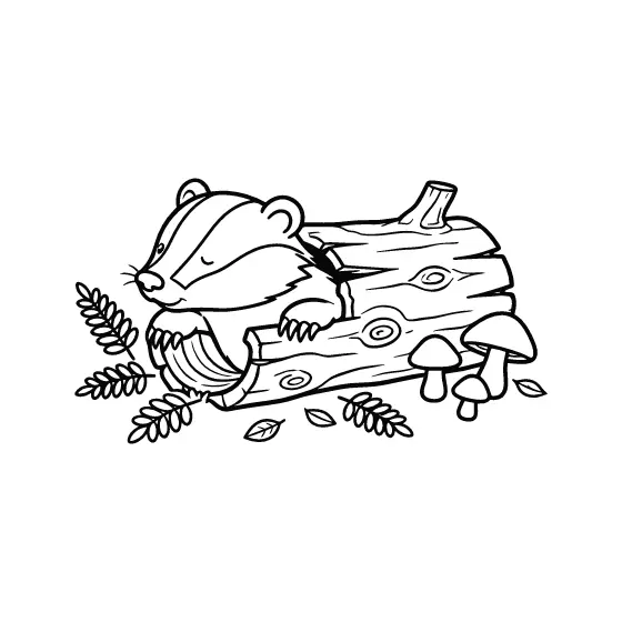 Badger Resting on Log With Ferns