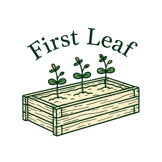 Wooden Seed Tray With Sprouts