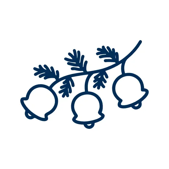 Fir Sprig With Three Hanging Bells