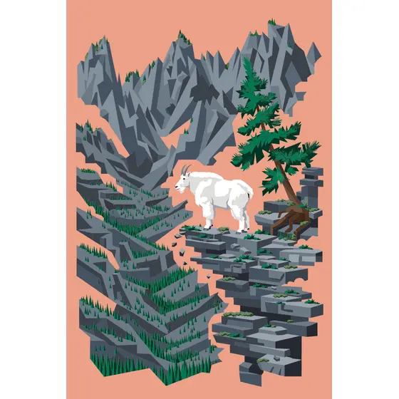 White Mountain Goat On Rocky Ledge
