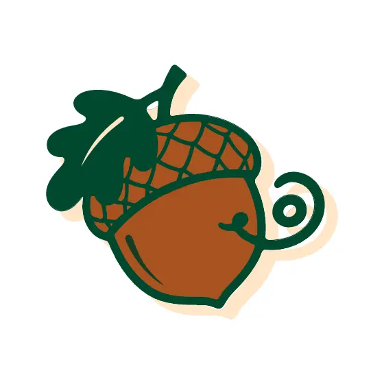 Acorn With Leaf Hat