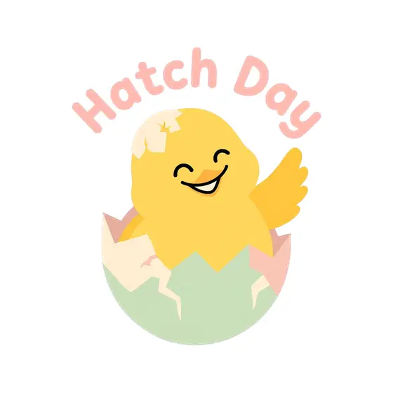 Yellow Chick Hatching With Pink Lettering