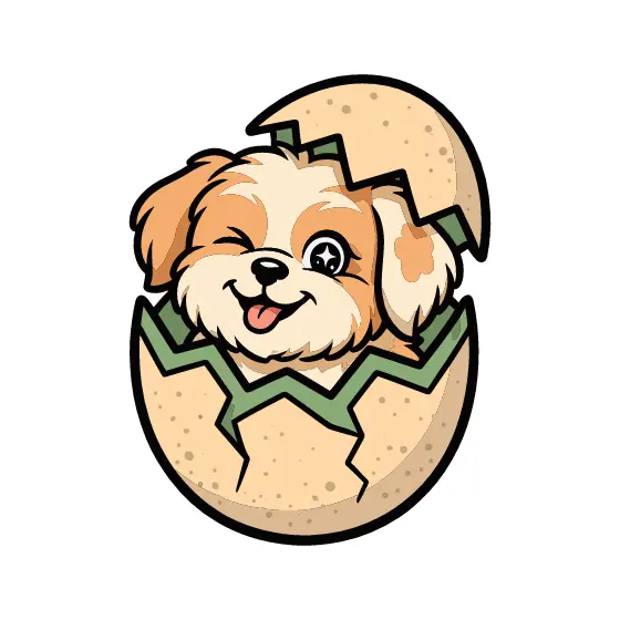 Winking Shih Tzu Hatching From Egg