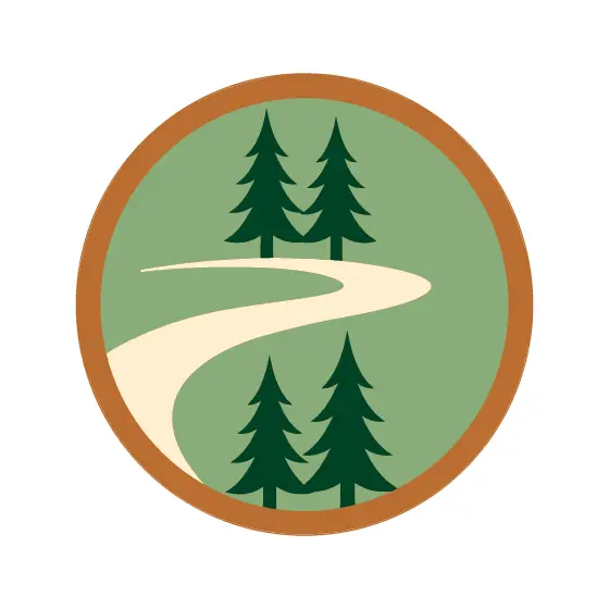 Pine Trees and Winding Path