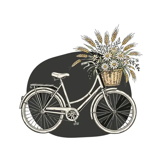 Vintage Bicycle With Daisy Wicker Basket