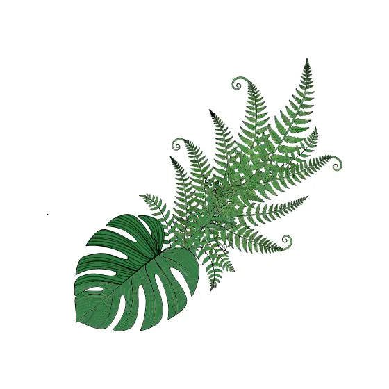 Monstera and Fern Leaves Corner Arrangement