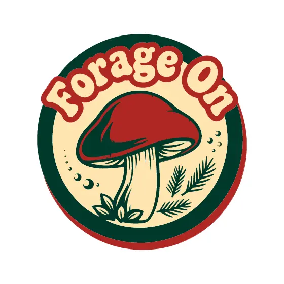 Red Mushroom With Pine Sprigs Badge