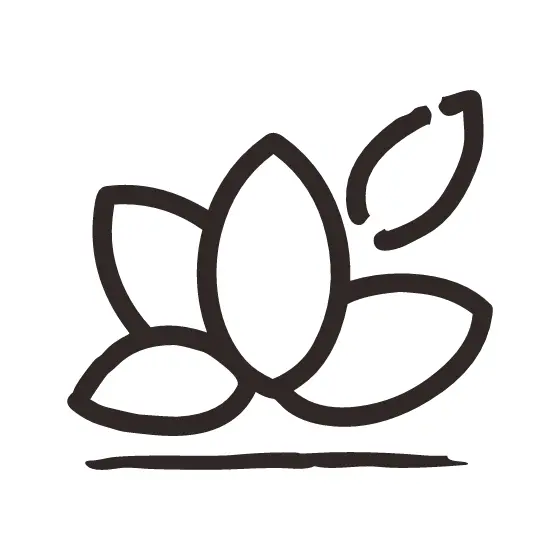 Outlined Lotus Blossom With Water Line