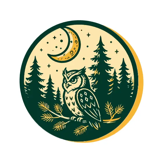 Owl And Moon In Pine Forest