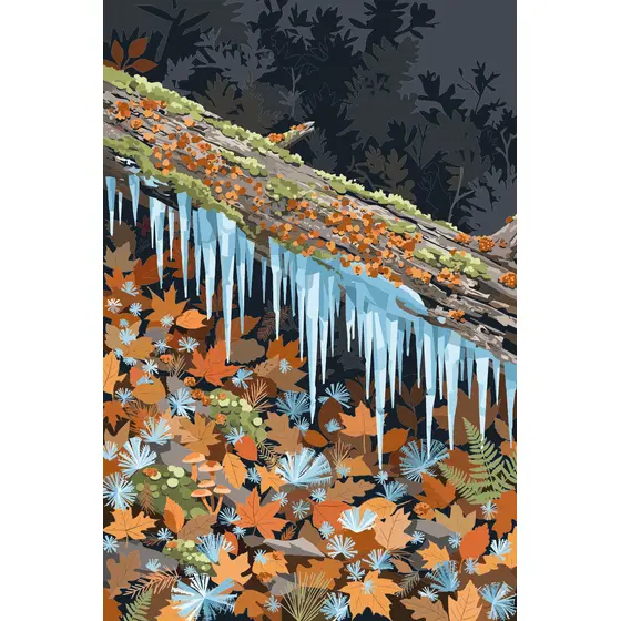 Icicle-Fringed Mossy Log in Forest