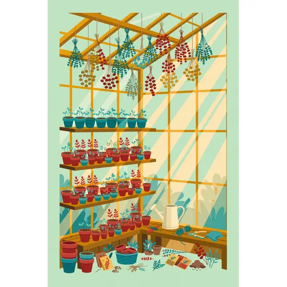 Greenhouse Shelves With Seedlings and Herbs
