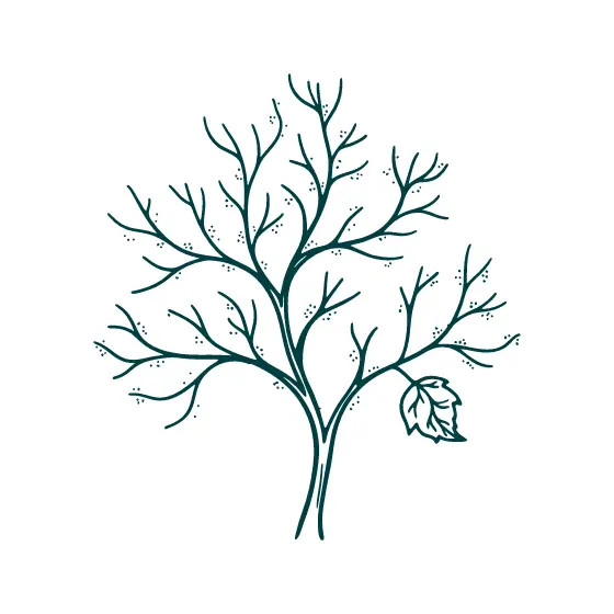 Bare Teal Tree With Single Leaf