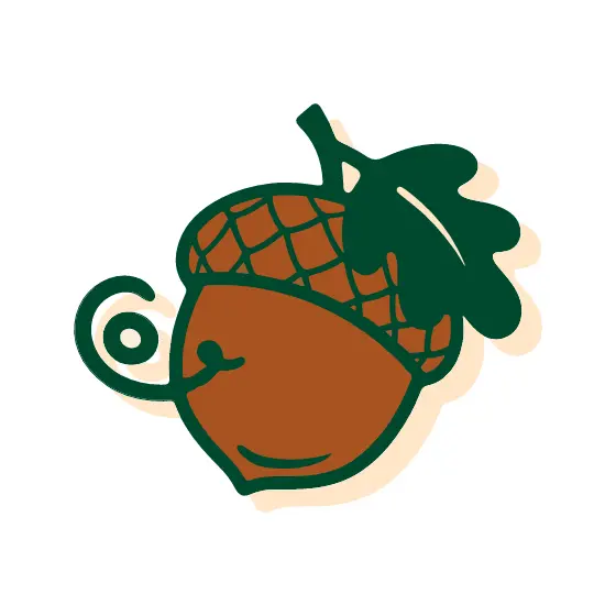 Acorn With Curled Stem