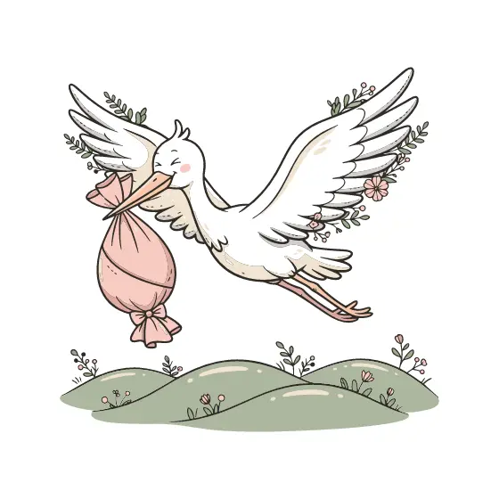 Smiling Stork with Pink Bundle