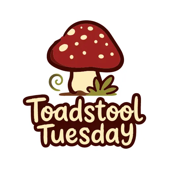 Red Toadstool With Curl and Moss