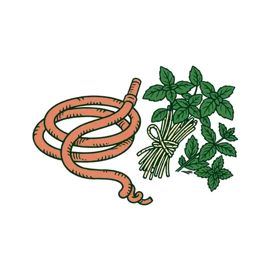 Garden Hose Beside Basil and Mint
