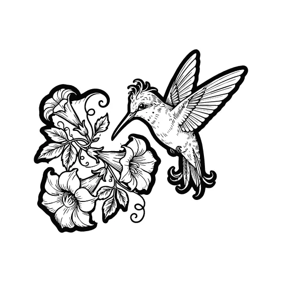 Hummingbird Beside Trumpet Vine Blossoms