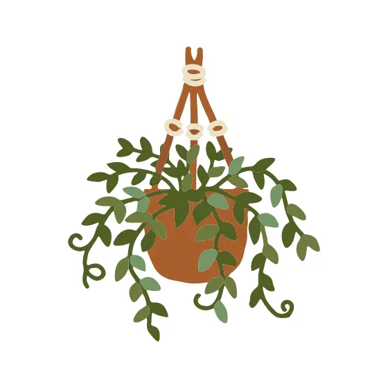 Hanging Trailing Plant in Pot