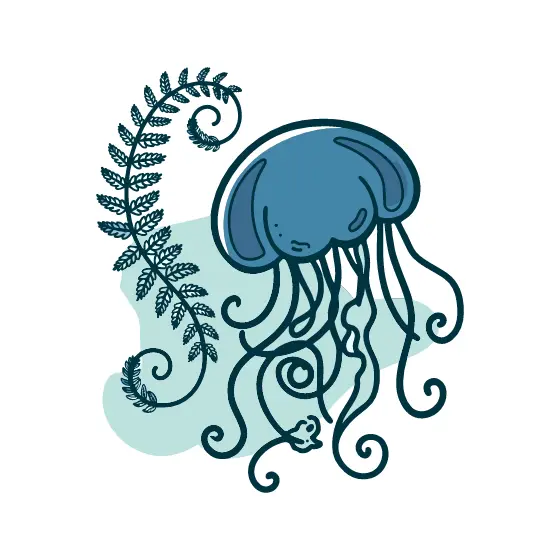 Jellyfish With Fern On Seafoam
