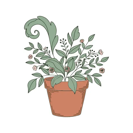 Terracotta Pot With Curling Fern Foliage