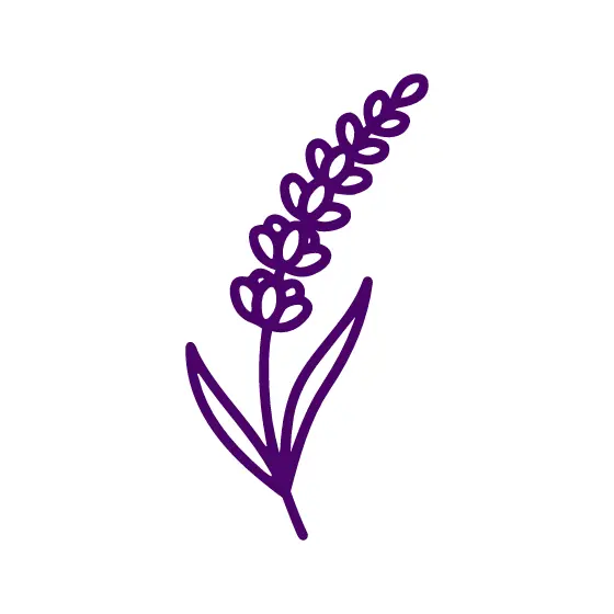 Violet Lavender Sprig Outline