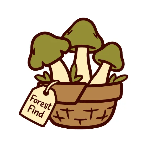 Tilted Mushroom Trio With Hanging Tag