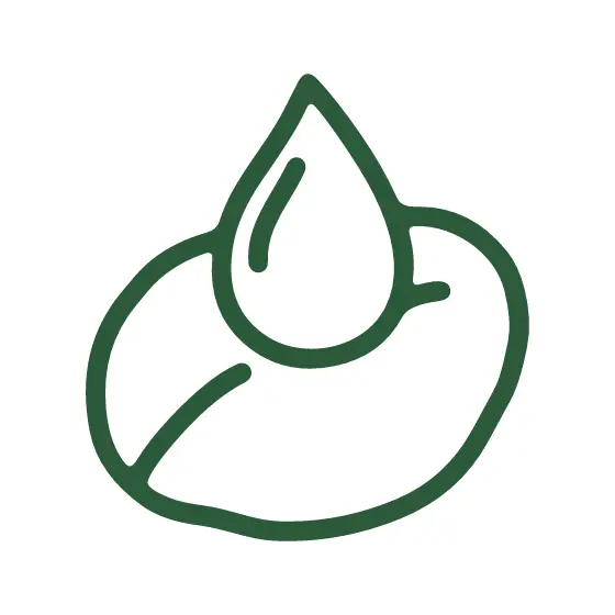 Dark Green Dewdrop on Leaf