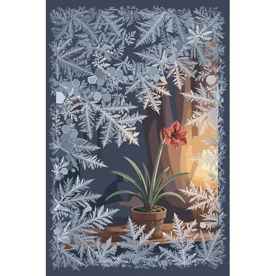 Frosted Window with Red Amaryllis