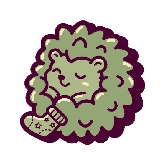 Sleeping Hedgehog With Star Sock