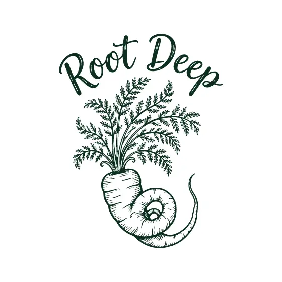 Root Deep Carrot With Curled Root