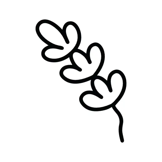 Black Line Lavender Sprig Three Buds